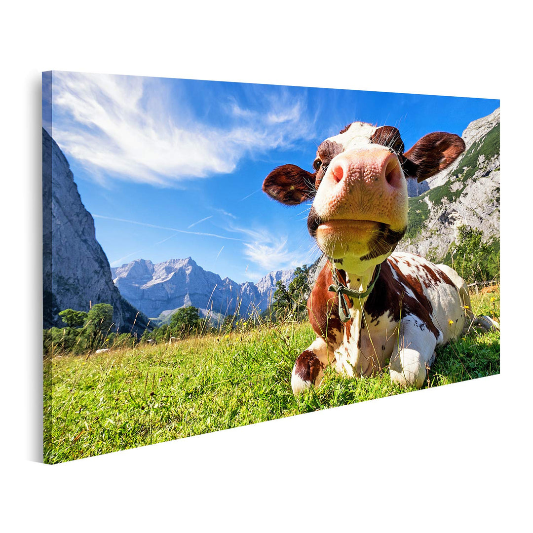 islandburner Bild auf Leinwand Karwendelgebirge Kühe Österreich Bilder Wandbilder Poster