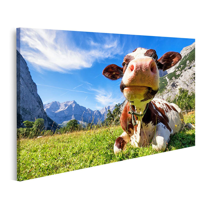 islandburner Bild auf Leinwand Karwendelgebirge Kühe Österreich Bilder Wandbilder Poster
