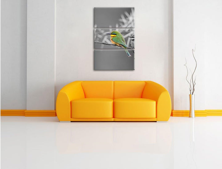 Pixxprint exotische Vögel auf AST als Leinwandbild/Grösse: 3 Teilig (120x80) cm/Wandbild/Kunstdruck/