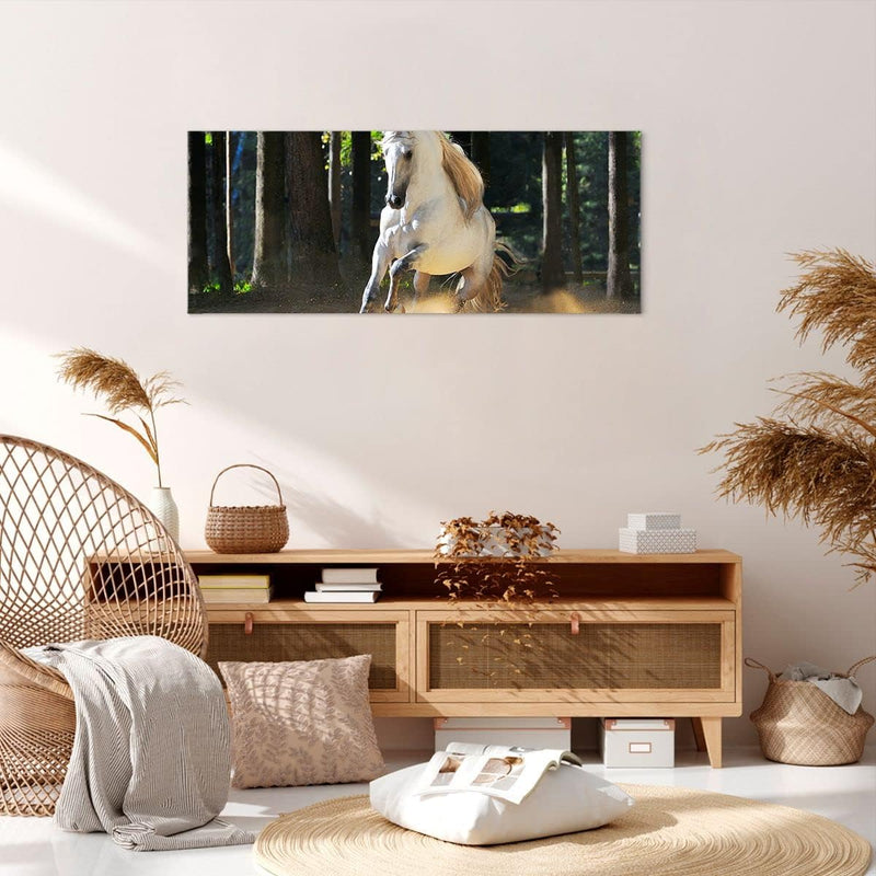 Wandbilder Dekoration Wohnzimmer Staub Emotionen Pferd Natur Panorama Bilder auf Leinwand 120x50cm L