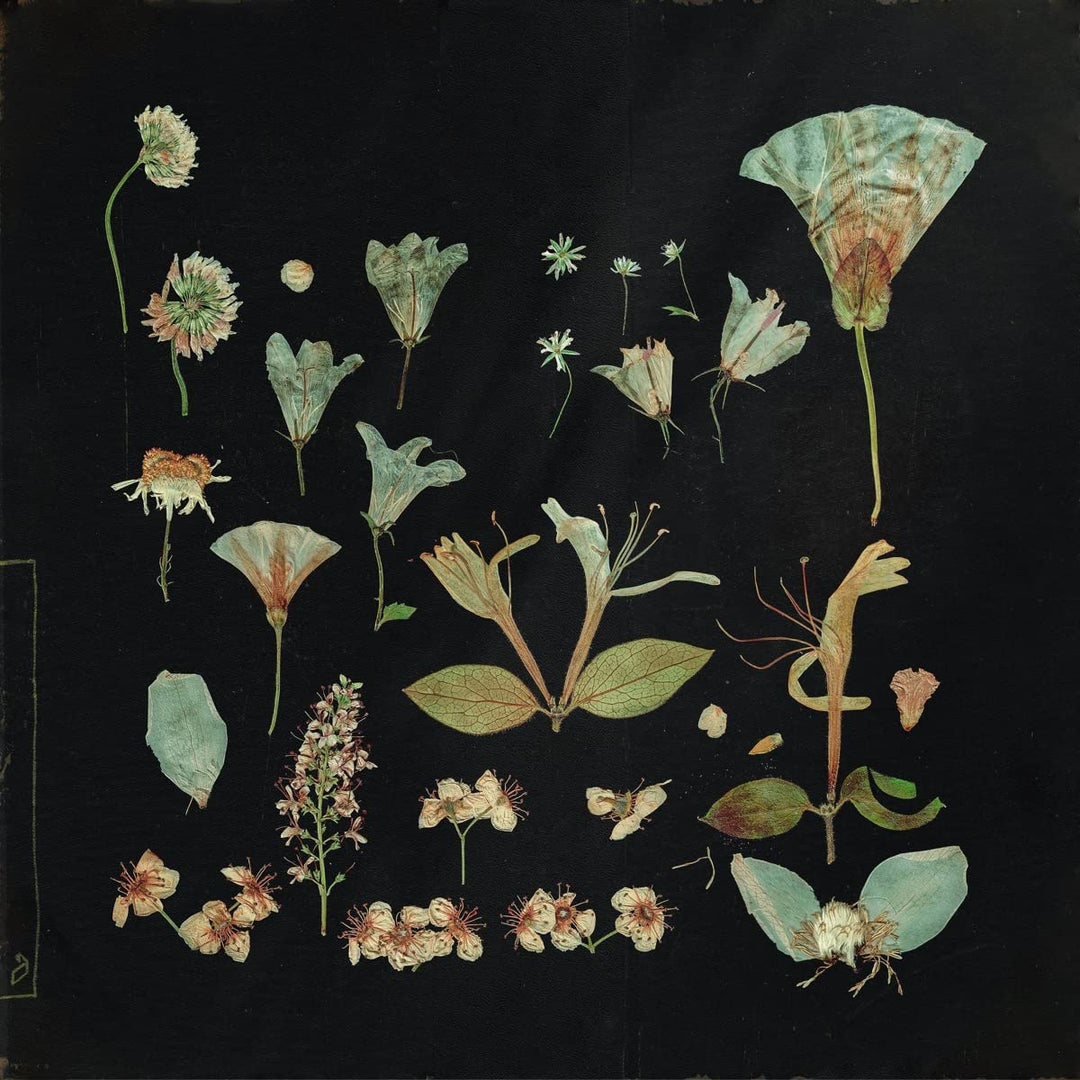 when the quiet comes, Vinyl