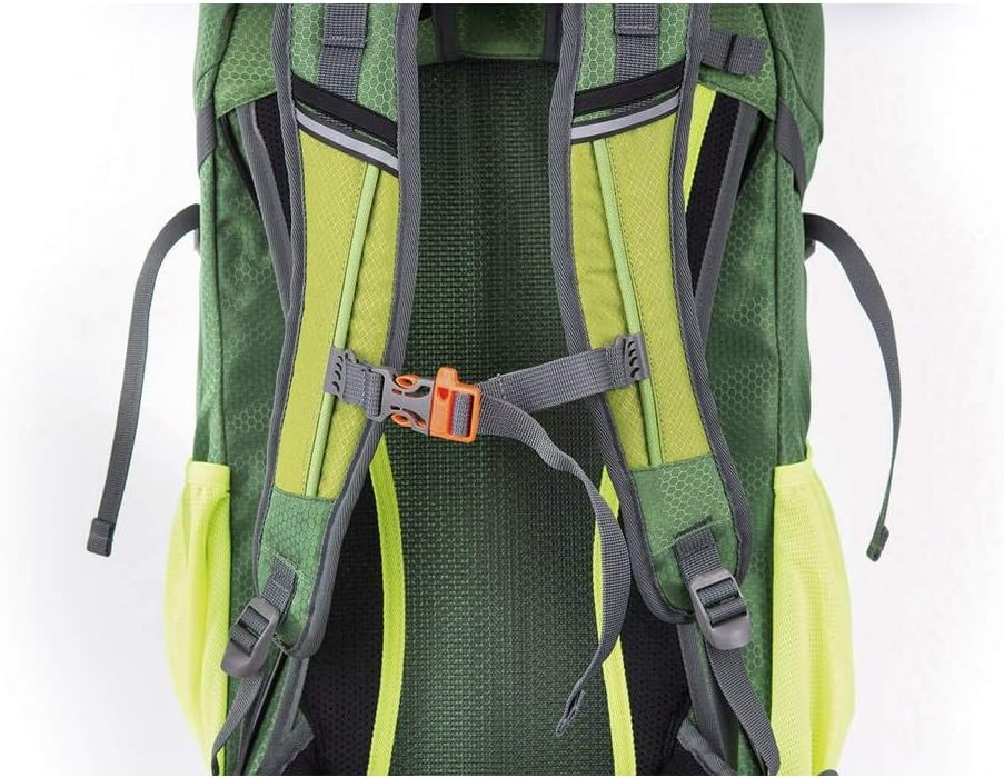 DÖRR Rucksack Outdoor Pro 32 32 l (L x B x H) 180 x 300 x 600 mm Grün 464015