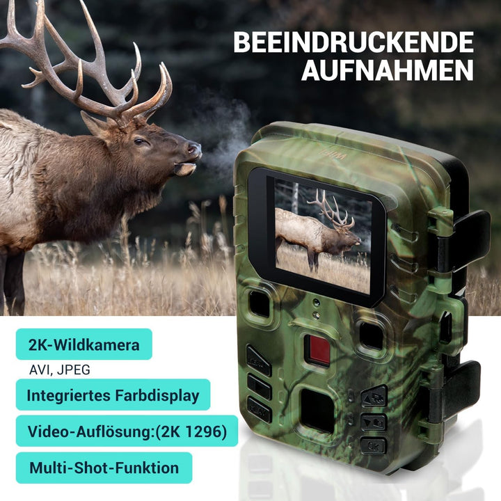 Wildkamera 2K WLAN, Bewegungsmelder, Nachtsicht, Live View per App, Farbdisplay, Mikro, Bluetooth, Z