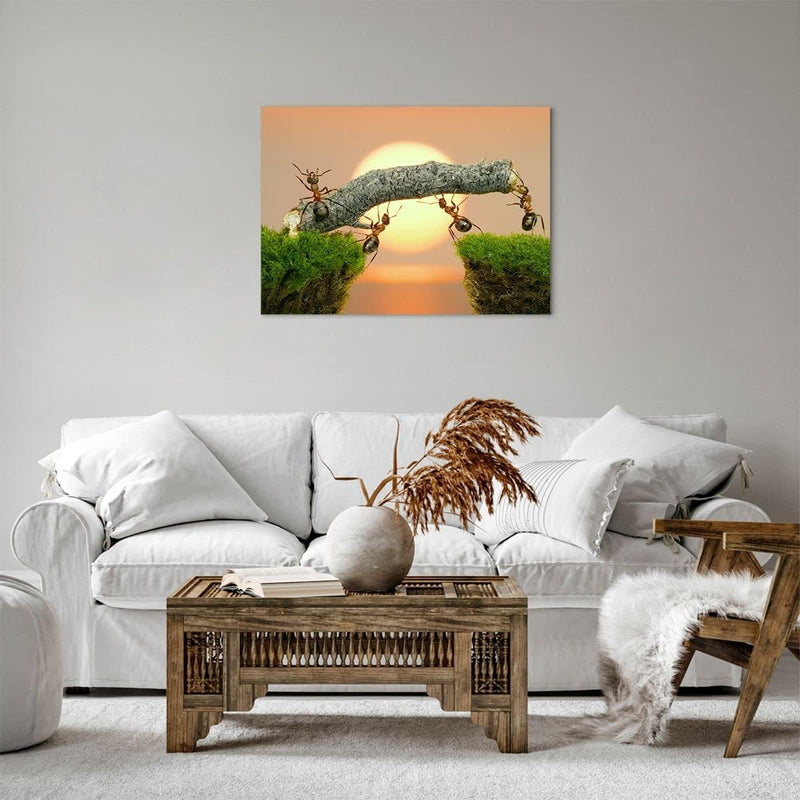 Bilder auf Leinwand Tiere Ameisen Brücke Natur Leinwandbild 70x50cm Wandbilder Dekoration Wohnzimmer