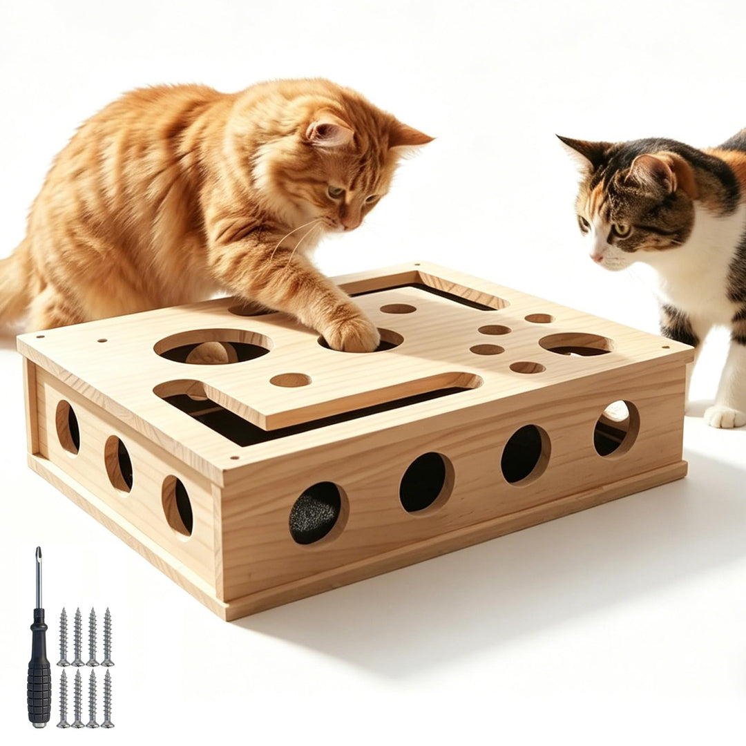 Katzen Krallenpflege Spielzeug, Katzen Krallenfeile Box, Beschäftigungsbox, Kratzpuzzle Spielbox, Ka