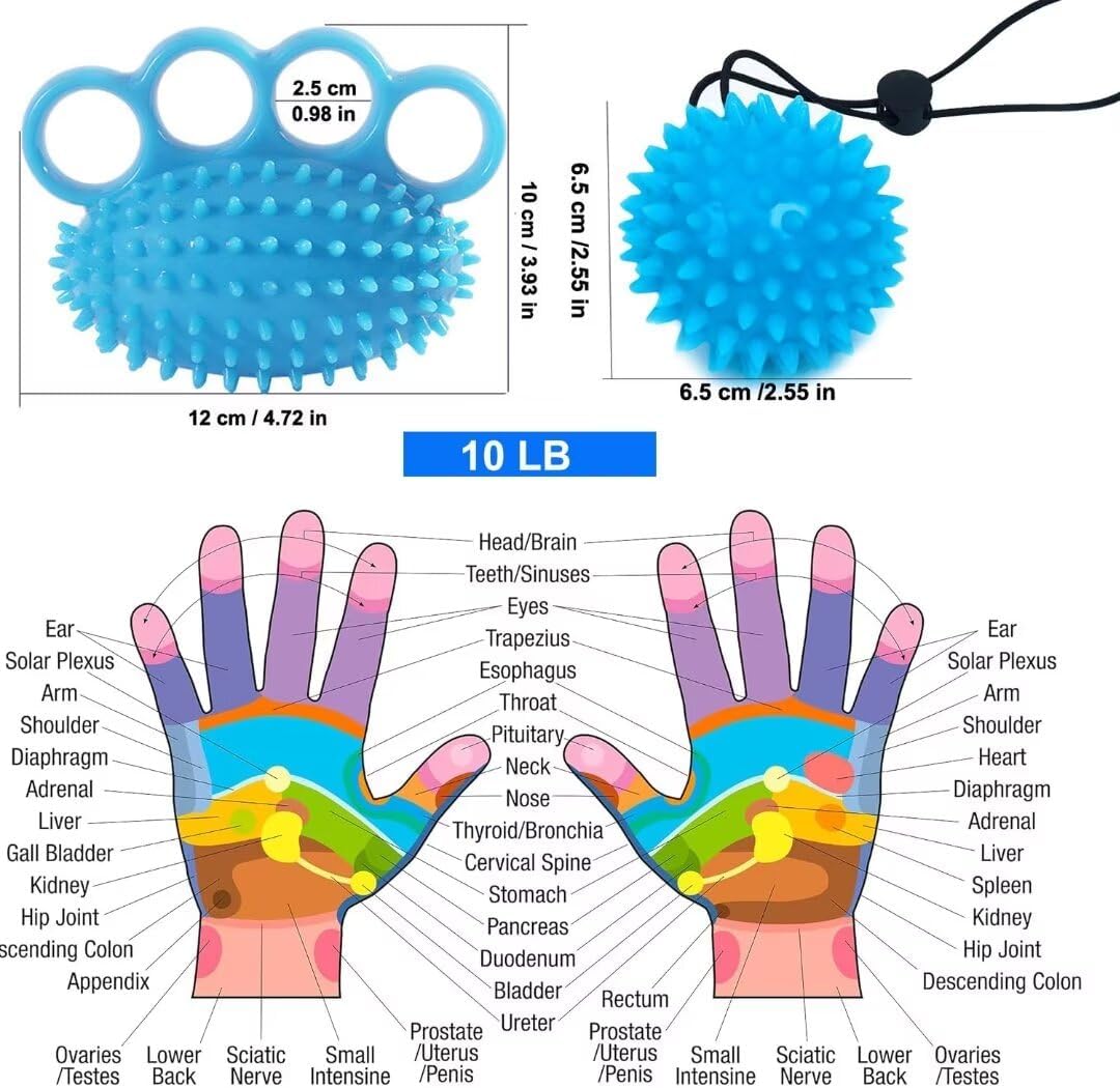 Finger Exerciser Trainingsball Hand Grip Strengthener Trainer Squeeze Balls Finger und Handgelenk Ph