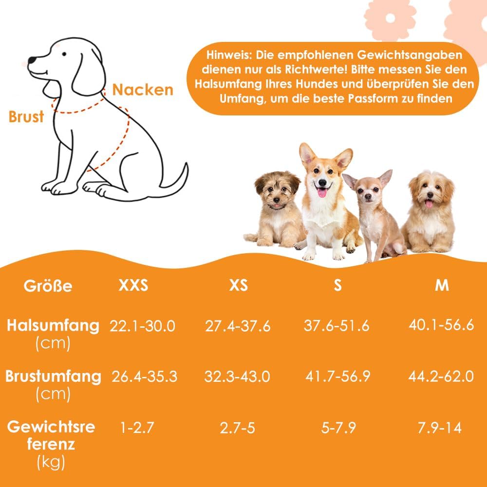 Eyein Hundegeschirr Kleine Hunde mit Leine, Atmungsaktiv Air Mesh Brustgeschirrmit reflektierenden S