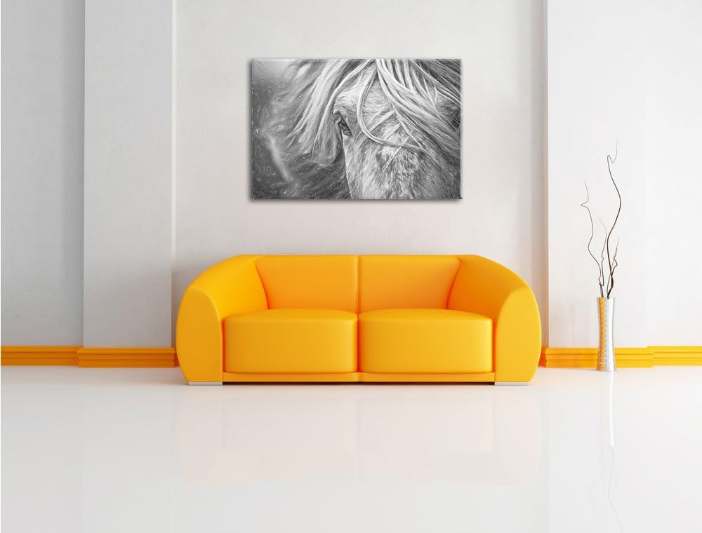 Pixxprint Islandpony in den Westfjorden als Leinwandbild/Grösse: 100x70 cm/Wandbild/Kunstdruck/ferti