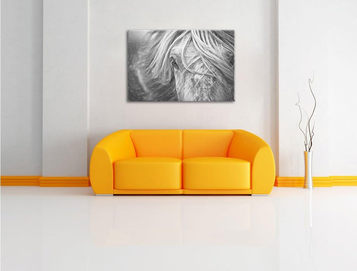 Pixxprint Islandpony in den Westfjorden als Leinwandbild/Grösse: 100x70 cm/Wandbild/Kunstdruck/ferti