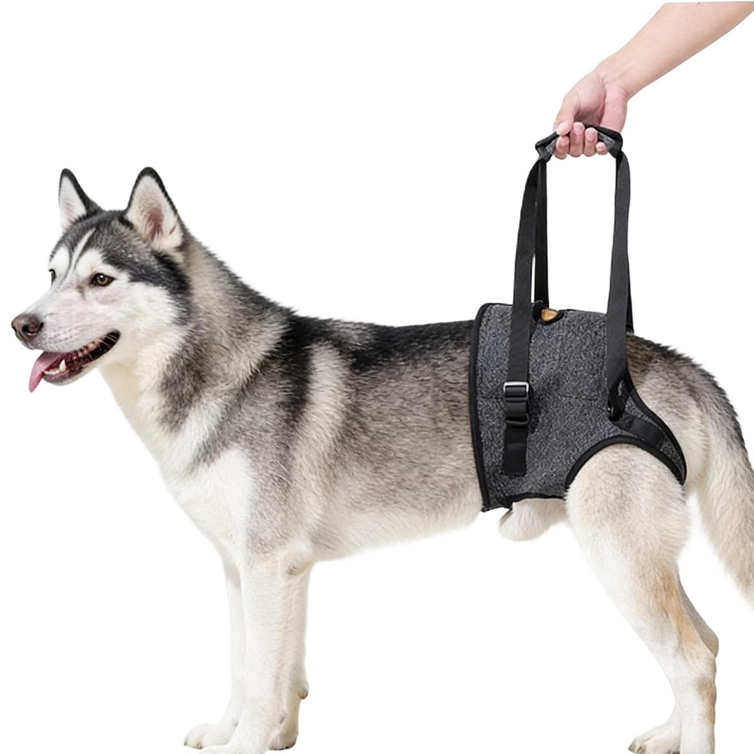 Tragehilfe Hund, Verstellbare Hunde Tragehilfe Hinterbeine, Tragegurt für Mittelgrosse & Grosse Hund