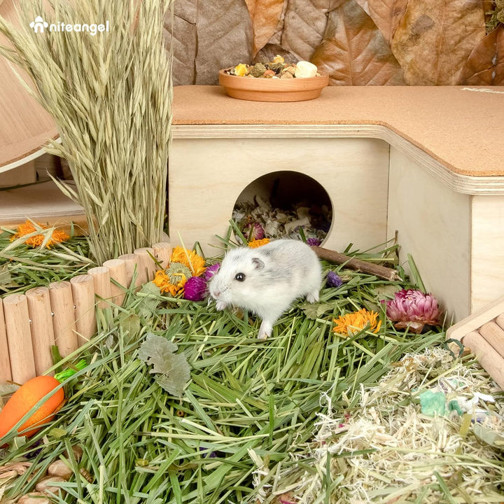Niteangel Natürliches und weiches Hamster-Einstreu - Dekoration für das Lebensumfeld von syrischen Z