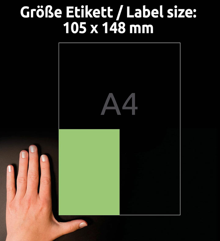 AVERY Zweckform 3458 Grüne Etiketten (400 Aufkleber, 105x148mm auf A4, permanent haftend, selbstkleb