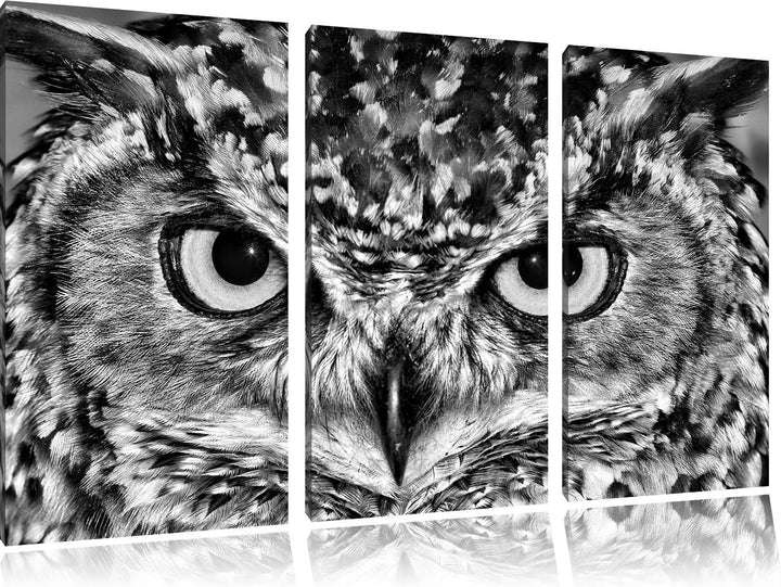 Pixxprint Eule mit gelben Augen als Leinwandbild/Grösse: 3 Teilig (120x80) cm/Wandbild/Kunstdruck/fe