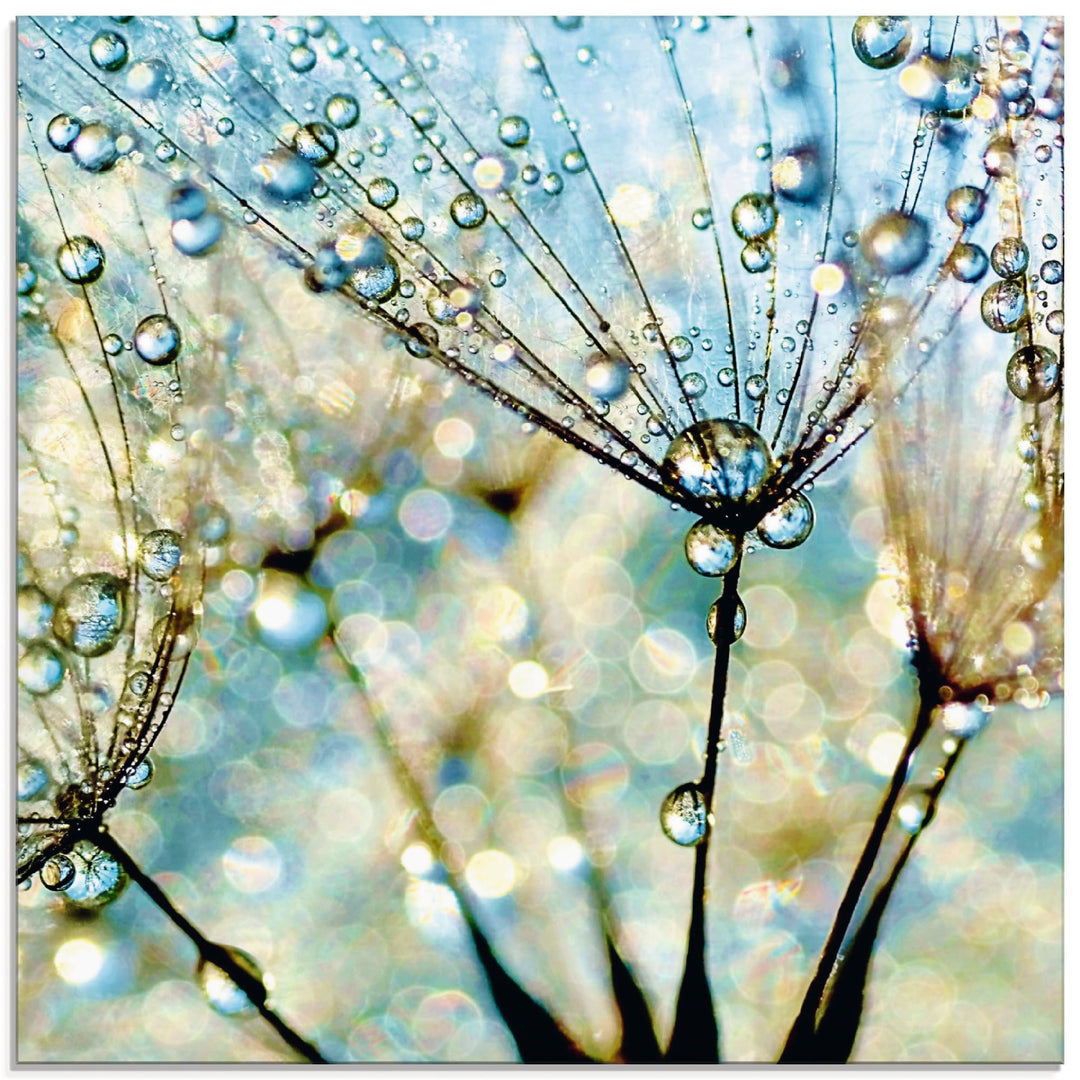 ARTland Glasbilder Wandbild Glas Bild einteilig 40 x 40 cm Quadratisch Wellness innere Ruhe Pflanzen