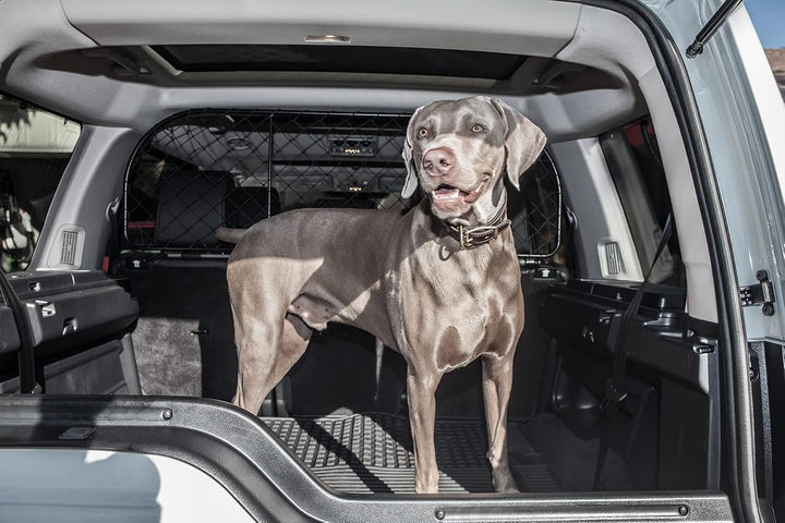 ERGOTECH Trennnetz Trenngitter Hundenetz Hundegitter für Land Rover Discovery 3 und 4 (2004-2016)