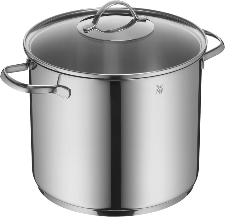 WMF Provence Plus Gemüse- Suppentopf Induktion 24cm, Glasdeckel, Kochtopf gross 8,8l, Cromargan Edel
