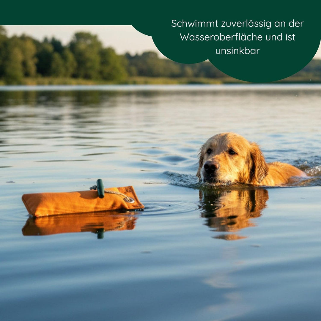Standard Dummy 500g | Aktion 5 + 1 GRATIS | Robustes Material | Mit Wurfgriff | Schwimmfähig | Ideal