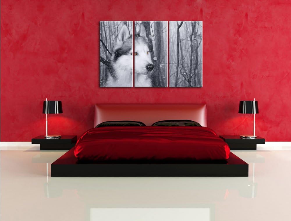 Pixxprint Wachsamer Husky als Leinwandbild/Grösse: 3 Teilig (120x80 cm) cm/Wandbild/Kunstdruck/ferti