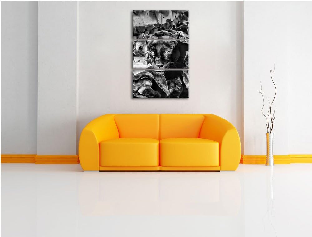 Pixxprint Monocrome, schwarzer Panther 3-Teiler Leinwandbild 120x80 Bild auf Leinwand