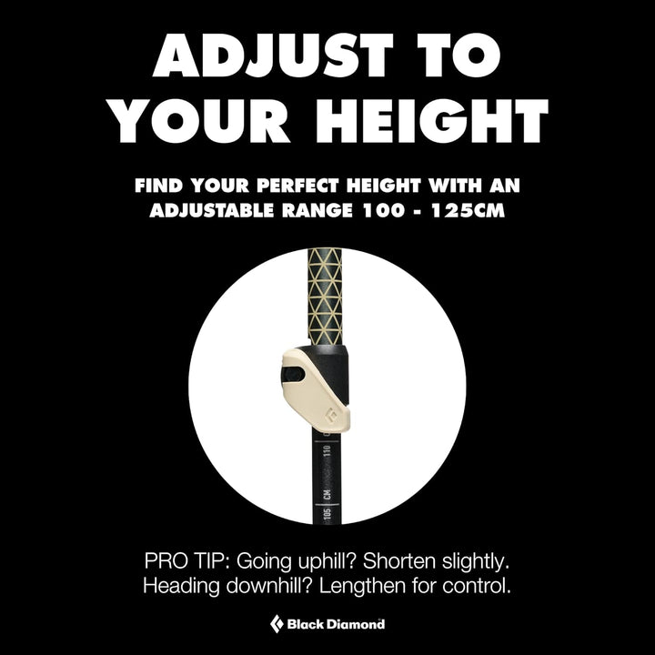 Black Diamond Trail Trekking Poles Pine Smoke