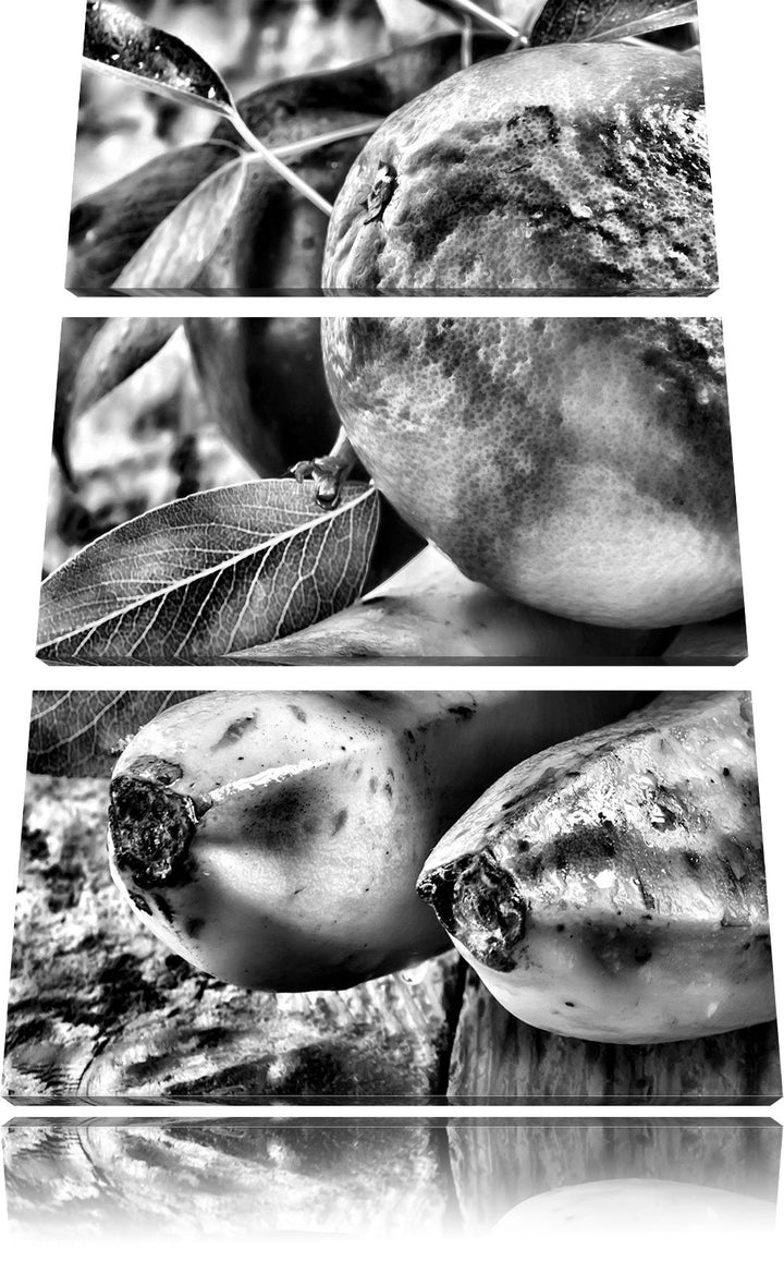 Pixxprint Monocrome, Leckeres Obst 3-Teiler Leinwandbild 120x80 Bild auf Leinwand