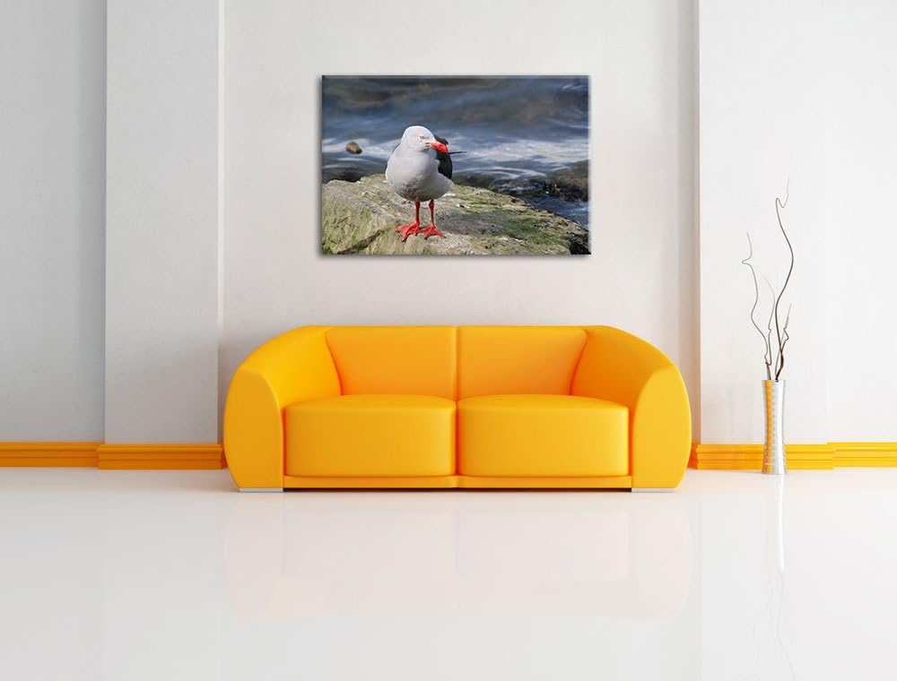 kleine Möwe auf Felsbrocken Leinwand, XXL riesige Bilder fertig gerahmt mit Keilrahmen, Kunstdruck a