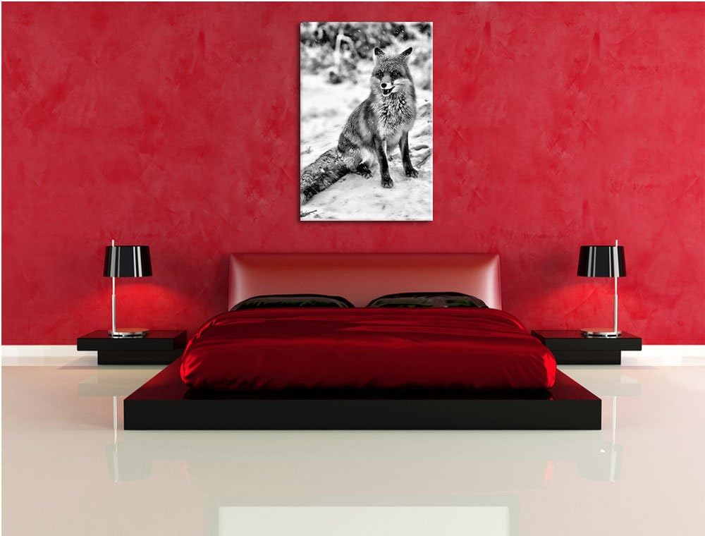 Pixxprint Fuchs im Schnee als Leinwandbild/Grösse: 100x70 / Wandbild/Kunstdruck/fertig bespannt, 100