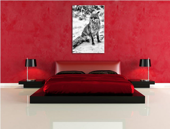 Pixxprint Fuchs im Schnee als Leinwandbild/Grösse: 100x70 / Wandbild/Kunstdruck/fertig bespannt, 100