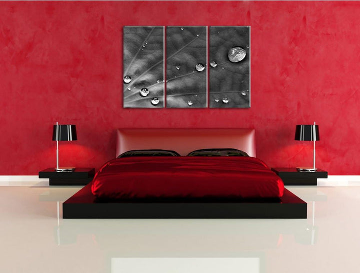 Pixxprint Monocrome, kleine Wassertropfen auf grünem Blatt 3-Teiler Leinwandbild 120x80 Bild auf Lei
