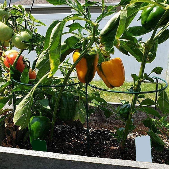 10er-Pack Pflanzenstützpfähle, Halbrunder Metall-Gartenpflanzenpfahl, Pfingstrosenkäfige und -stütze
