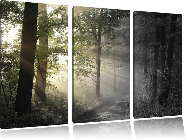 Pixxprint Waldweg im Grünen / 3-Teilig/Gesamtmass 120cm Leinwandbild bespannt auf Holzrahmen/Wandbil