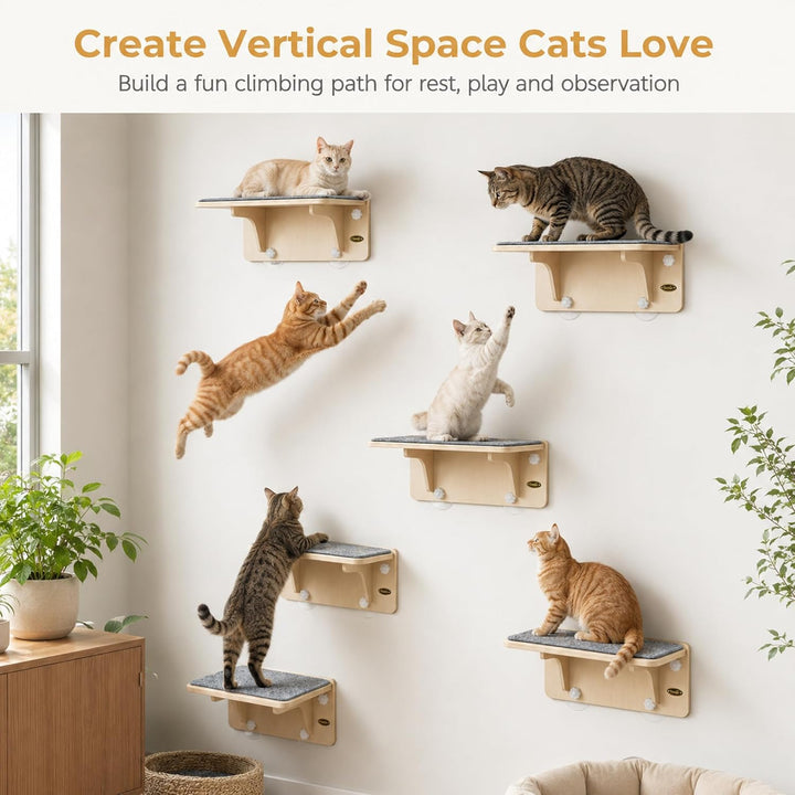 Fensterliege für Katzen, Kletterwand Katzen 2-in-1 für Wand &amp; Glas, Katzenliege mit Waschbar Abnehmb