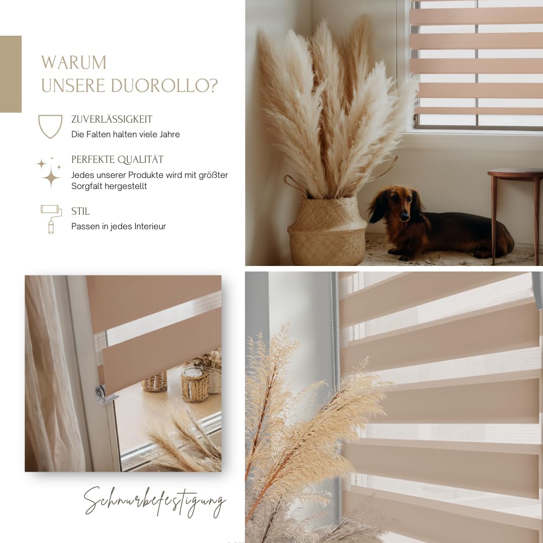 Home-Vision® DuoRollo Klemmfix, Doppelrollo ohne Bohren mit Klämmträgern, Rollos für Fenster und Tür