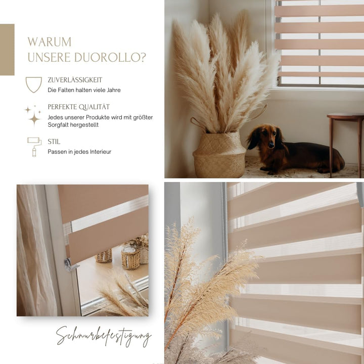 Home-Vision® DuoRollo Klemmfix, Doppelrollo ohne Bohren mit Klämmträgern, Rollos für Fenster und Tür