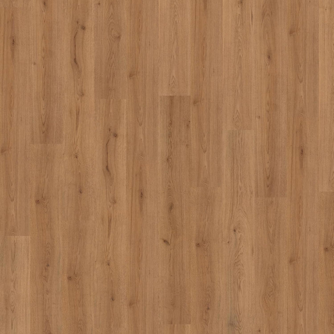Laminat Boden Trend Eiche Natur 6 mm - KRONOTEX Superior Basic, Landhausdiele, widerstandsfähig, pfl