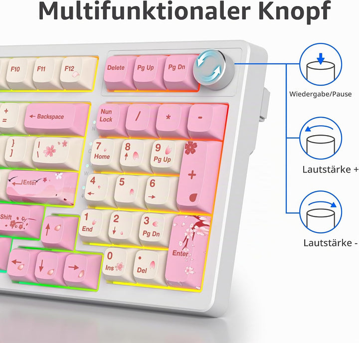 SOLIDEE Verkabelte 95% Mechanische Gaming-Tastatur,Hot-Swap-Fähige Mechanische Tastaturs,Gasket Stru