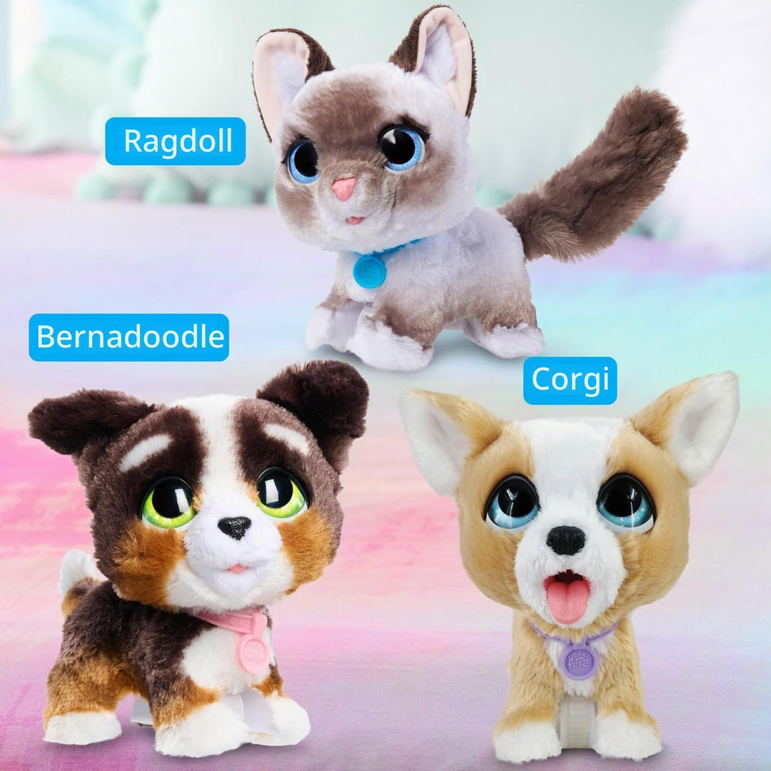 Just Play furReal Newborns Welpe, interaktives Haustier, Kleiner Plüschwelpe mit Soundeffekten und B
