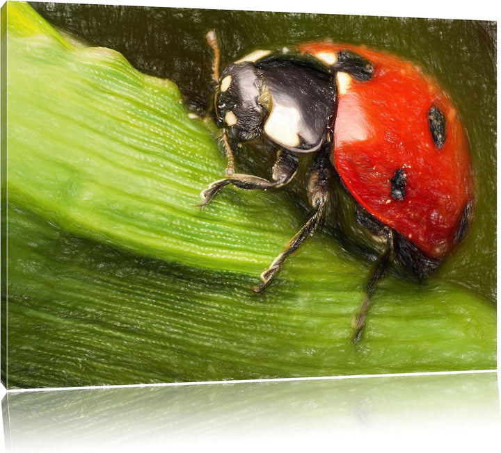 Pixxprint Marienkäfer in Detailaufnahme als Leinwandbild/Grösse: 100x70 / Wandbild/Kunstdruck/fertig