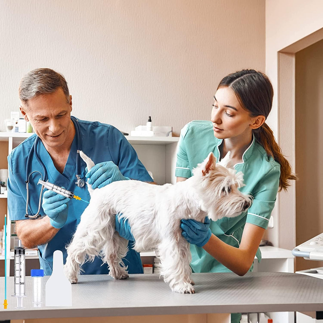 10 Set AI künstliche Befruchtung für Hunde, Zucht-Set, Einwegartikel, künstliche Inesemination, Zuch