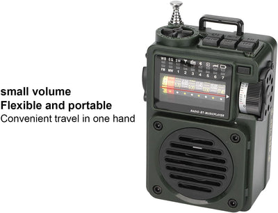 HRD 700 Music Player, Vollband Rundfunkempfangsradio mit Eingebauter 1000 mAh Lithiumbatterie, Bluet
