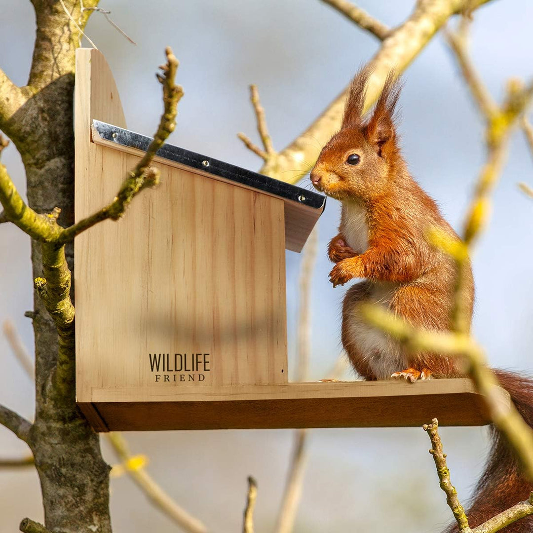 WILDLIFE FRIEND I Eichhörnchen Futterhaus - fertig montiert aus Kiefernholz &amp; 100% wetterfest I 11x2