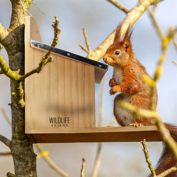 WILDLIFE FRIEND I Eichhörnchen Futterhaus - fertig montiert aus Kiefernholz &amp; 100% wetterfest I 11x2