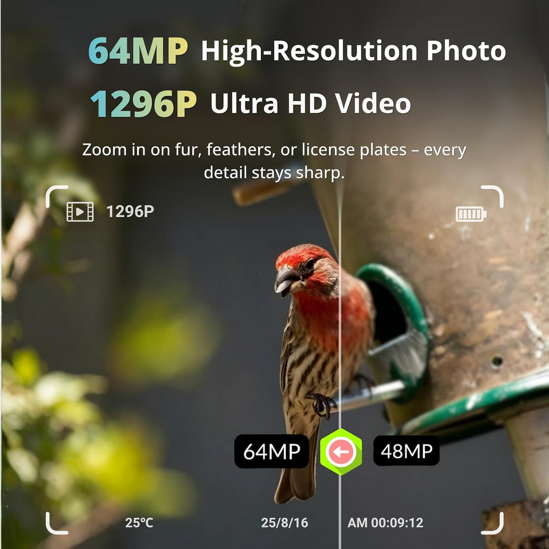 BlazeVideo 24MP Wildkamera Nachtsichtkamera Wildtier Kamera mit 1296P H.264 MPV Video, Bewegungmelde