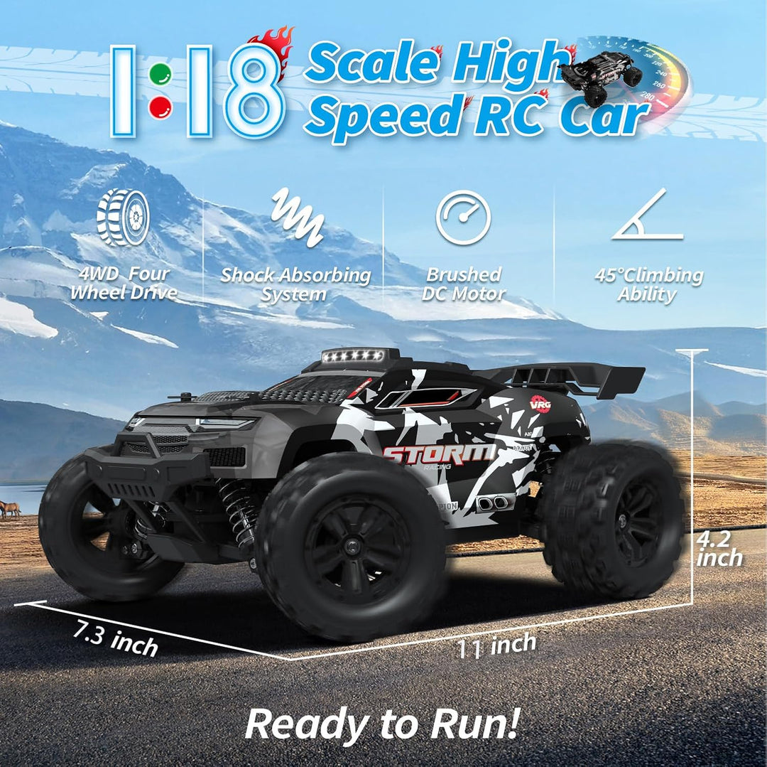 snookids Ferngesteuertes Auto - 1:18 High Speed RC Auto Offroad Buggy 40 km/h, 2,4 GHz 4WD All Terra