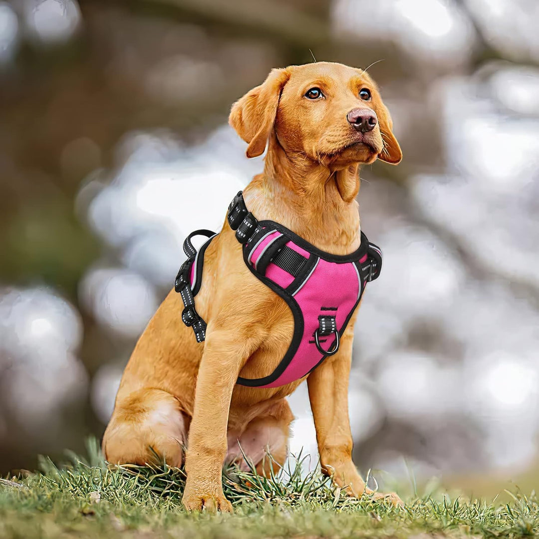 HEELE Hundegeschirr ohne Zug, Brustgeschirr für grosse Hund, einstellbares reflektierendes Hunde Ges