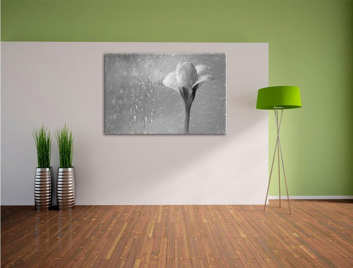 Pixxprint Frühlingsblume Tautropfen als Leinwandbild/Grösse: 100x70 cm/Wandbild/Kunstdruck/fertig be