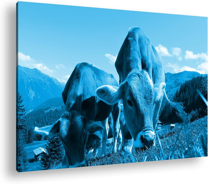 deyoli friedliche Kühe auf einer Weide in Österreich Format 80x60 Effekt: Monocrome Blau als Leinwan