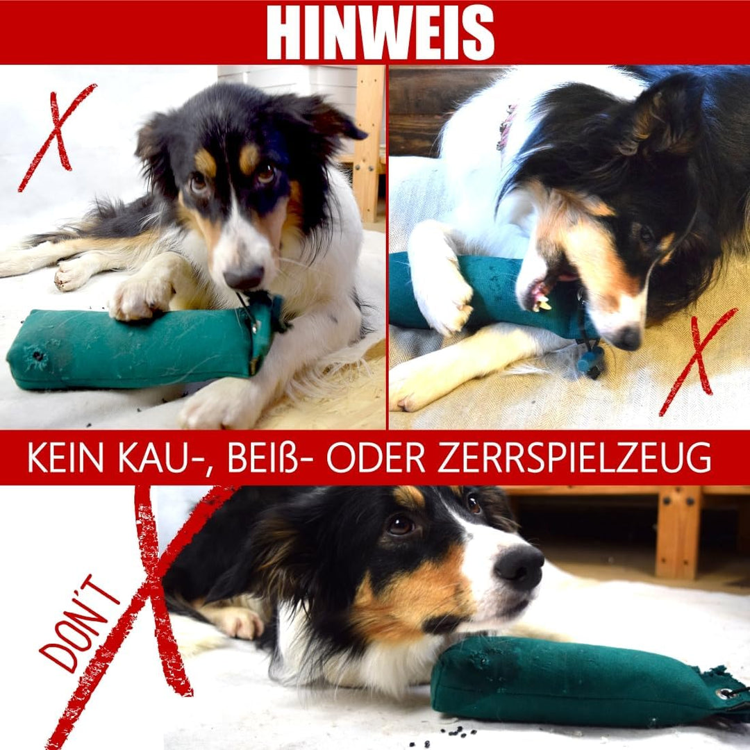 Romneys Hundetraining Dummy 500g - Robust & Schwimmfähig, Apportierprüfungen Zugelassen - Ideal für