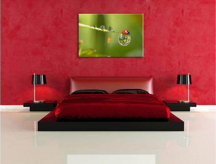 Pixxprint Marienkäfer Wassertropfen als Leinwandbild/Grösse: 100x70 cm/Wandbild/Kunstdruck/fertig be