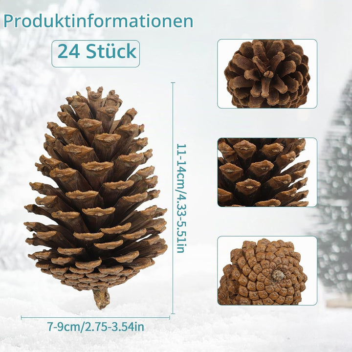 24 Stück Tannenzapfen Gross,11-14cm Kiefernzapfen,Zapfen zum Basteln für Weihnachtsbaum,Weihnachten,